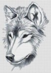 A Beautiful Wolf (image for) A Beautiful Wolf